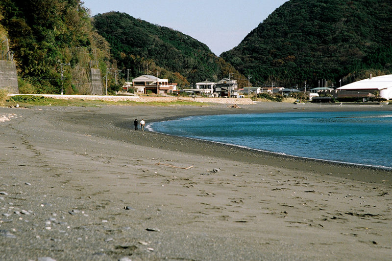 蒲江の海