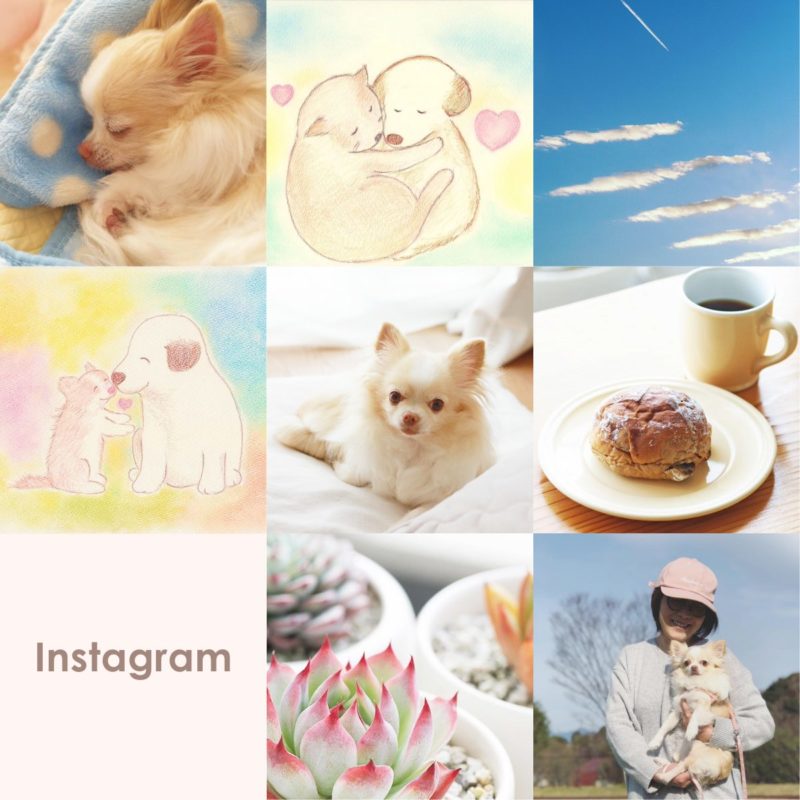 染矢敦子Instagram