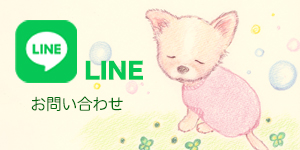 染矢敦子LINE公式